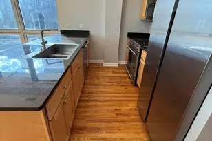 2035 S Indiana Ave, Chicago, IL 60616 - Photo 4