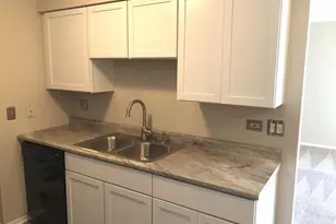 905 Casey Ct, Schaumburg, IL 60173 - Photo 2