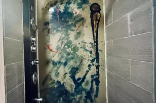 11725 S Morgan St, Chicago, IL 60643 - Photo 20