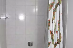 512 N McClurg Ct, Chicago, IL 60611 - Photo 8