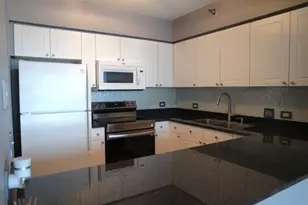 512 N McClurg Ct, Chicago, IL 60611 - Photo 10