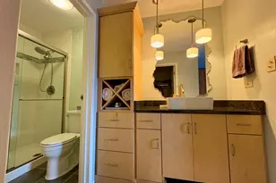 5806 A Wolf Rd, Western Springs, IL 60558 - Photo 16