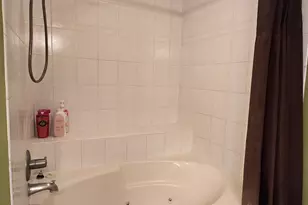 439 W Auburn Woods Ct, Palatine, IL 60067 - Photo 16