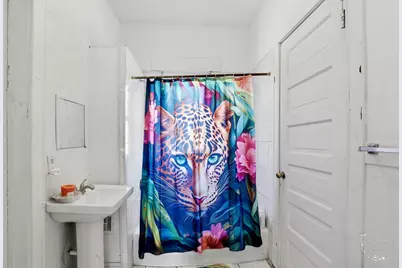 265 S Washington Avenue, Kankakee, IL 60901 - Photo 24