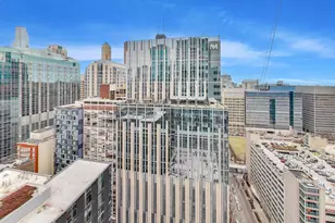 600 N Fairbanks Ct, Chicago, IL 60611 - Photo 24