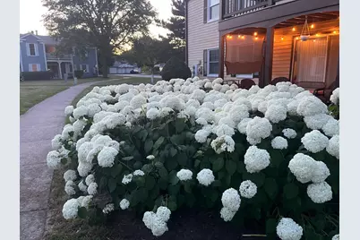 54 Plymouth Court #102D, Naperville, IL 60565 - Photo 22