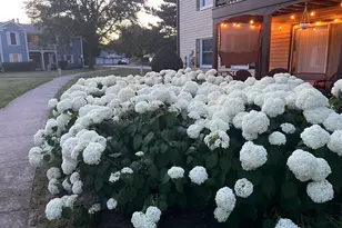 54 Plymouth Ct, Naperville, IL 60565 - Photo 22