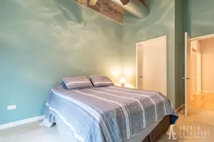 1033 W 14th Pl, Chicago, IL 60608 - Photo 10