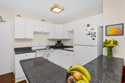 [Address not provided], Chicago, IL 60610 - Photo 4