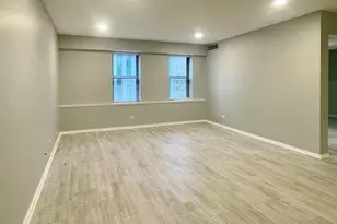 40 E 9th St, Chicago, IL 60605 - Photo 6