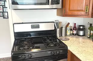 8717 Karlov Ave, Skokie, IL 60076 - Photo 6