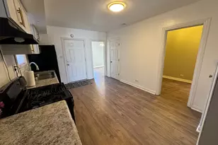 617 W 43rd Pl, Chicago, IL 60609 - Photo 6