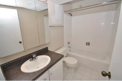 10 E Ontario Street #2702, Chicago, IL 60611 - Photo 10