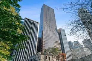 161 E Chicago Ave, Chicago, IL 60611 - Photo 50