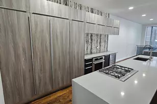 1013 N Honore St, Chicago, IL 60622 - Photo 10