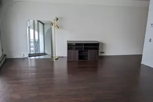 300 N State St, Chicago, IL 60654 - Photo 4