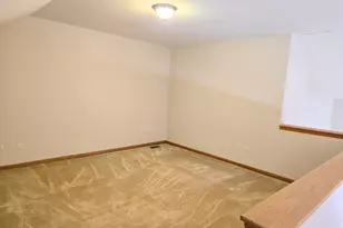 130 S McGinty St, Diamond, IL 60416 - Photo 20