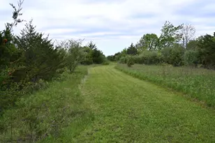 9021 E 2250 North Rd, Danville, IL 61834 - Photo 62