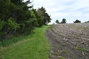 9021 E 2250 North Rd, Danville, IL 61834 - Photo 54
