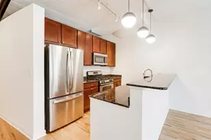 1069 W 14th Pl, Chicago, IL 60608 - Photo 8