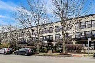 1069 W 14th Pl, Chicago, IL 60608 - Photo 2