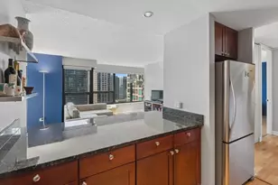 30 E Huron St, Chicago, IL 60611 - Photo 10
