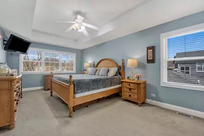 117 S Grant Street, Westmont, IL 60559 - Photo 38