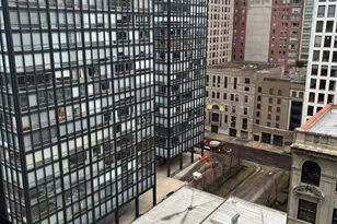 900 N Lake Shore Dr, Chicago, IL 60611 - Photo 6