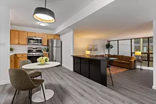 230 E Ontario St, Chicago, IL 60611 - Photo 10