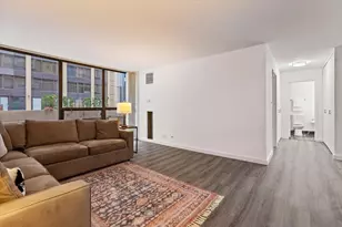 230 E Ontario St, Chicago, IL 60611 - Photo 4