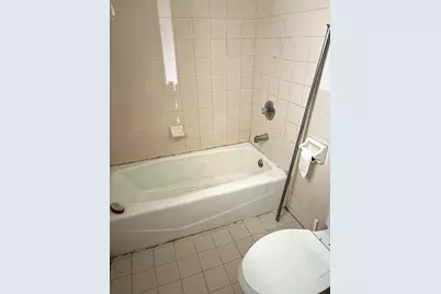 463 W 23rd Place #Basement, Chicago, IL 60616 - Photo 10