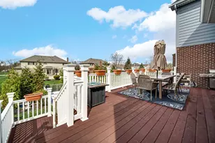 22052 Rosemary Rd, Frankfort, IL 60423 - Photo 44