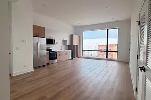 1320 S Ashland Ave, Chicago, IL 60608 - Photo 4