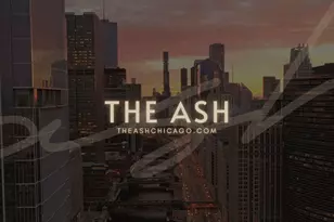 1257 N Ashland Ave, Chicago, IL 60622 - Photo 20