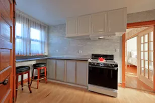 1121 S East Ave, Oak Park, IL 60304 - Photo 6