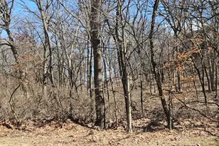 1302 Beech Ln, Dixon, IL 61021 - Photo 1