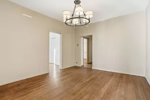 7223 S Coles Ave, Chicago, IL 60649 - Photo 4