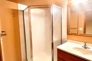 1823 Fieldstone Ct, Romeoville, IL 60446 - Photo 24