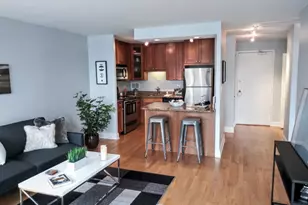 450 W Briar Pl, Chicago, IL 60657 - Photo 10