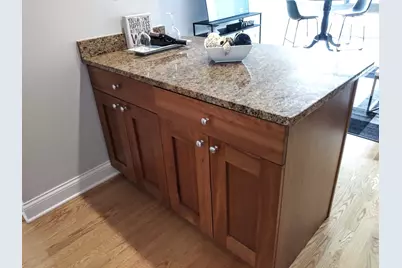 450 W Briar Place #6M, Chicago, IL 60657 - Photo 4