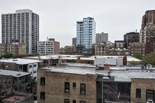 450 W Briar Pl, Chicago, IL 60657 - Photo 8