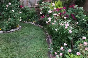 10033 Montrose Ave, Schiller Park, IL 60176 - Photo 26