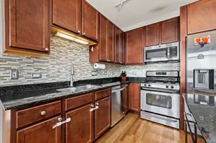 1001 W 15th St, Chicago, IL 60608 - Photo 2
