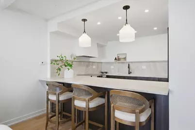 1560 N Sandburg Terrace #1210J, Chicago, IL 60610 - Photo 4