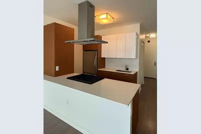 500 N Lake Shore Drive #409, Chicago, IL 60611 - Photo 4