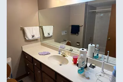 229 Shea Drive, Flossmoor, IL 60422 - Photo 14