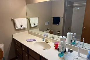 229 Shea Dr, Flossmoor, IL 60422 - Photo 14