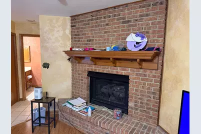 229 Shea Drive, Flossmoor, IL 60422 - Photo 10