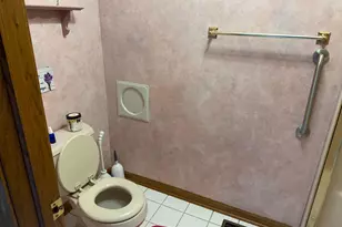 229 Shea Dr, Flossmoor, IL 60422 - Photo 18