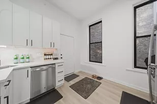 1113 S Racine Ave, Chicago, IL 60607 - Photo 8